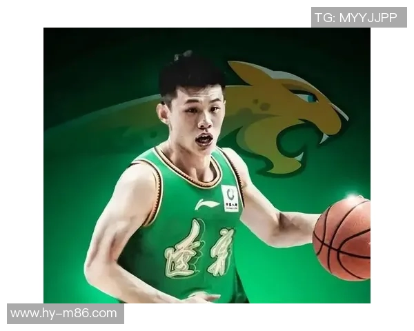 2018年辽宁对广东精彩比赛录像回放及赛后分析分享